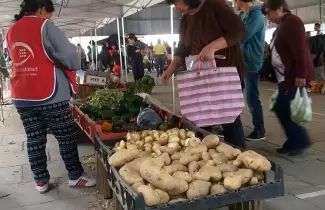 feria-1