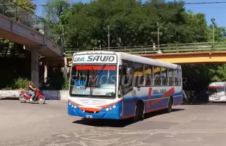 colectivos