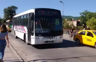 cole-va