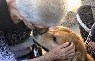 abuelos-perros