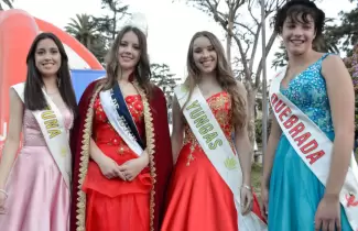 encuesta-mision-primavera
