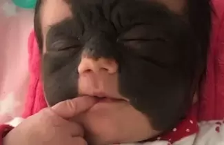 bebe