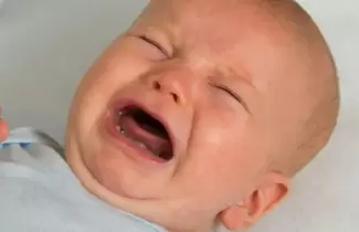 bebe