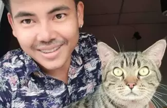 gato-2