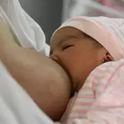 Descubren una nueva propiedad de la leche materna capaz de evitar el daño cerebral en prematuros