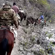 Elecciones 2023: las localidades rurales de Jujuy donde las urnas llegan a lomo de mula