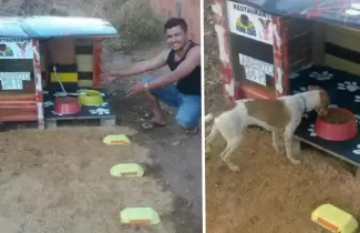 comedor-perros
