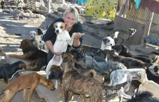 PERROS