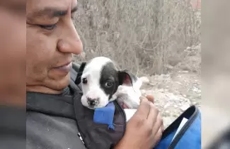 cachorrita-adoptada-1