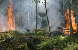 INCENDIOS