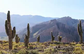 jujuy-tiempo
