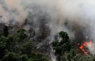 incendio-ok-1