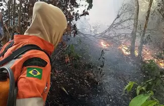 incendios-amazonia