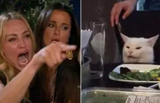 MEME-GATO
