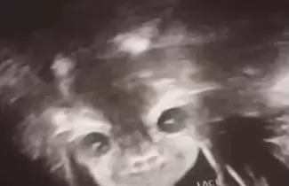 bebe