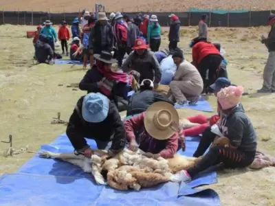 chaku