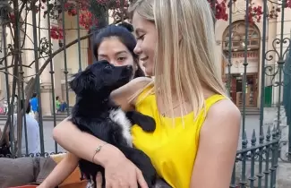 cami-iglesias