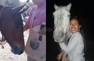caballos-03
