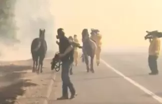 caballo-ok