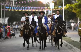 gauchos