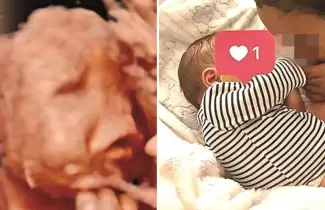 bebe