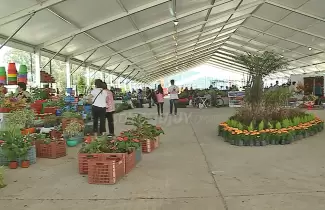 floricultura