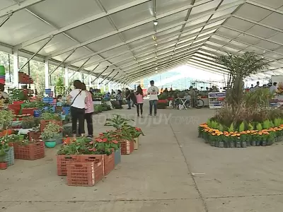 floricultura