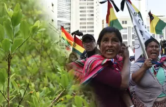 cocaleros-protesta