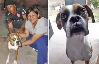lola-aparecio
