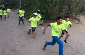 ninos