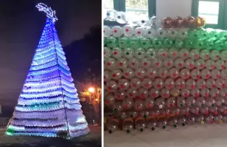 arbolito