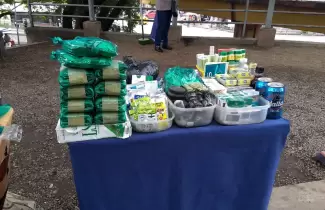 coca