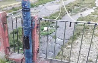 cables-arbolitos