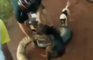 anaconda-ok