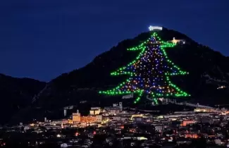 arbol-navidad