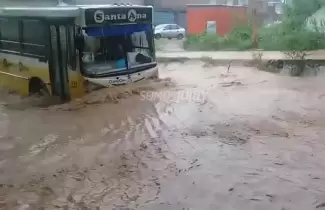 cole-inundado