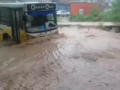 cole-inundado