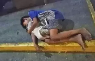 nino-y-perrito
