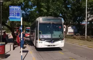 colectivos-1