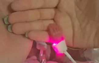 bebita