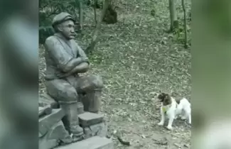 perro-estatua