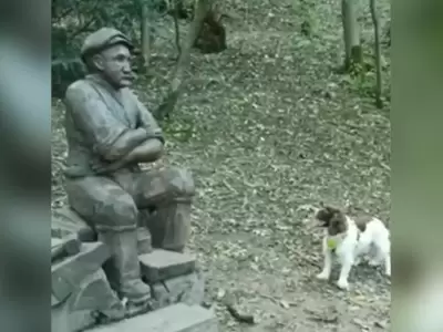 perro-estatua