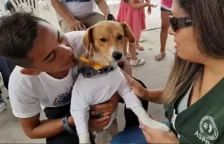 perrito-peru