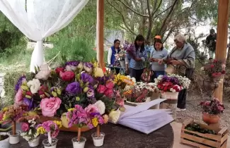 flores-1