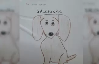 dibujo-perrito