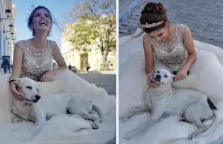 perrito-fotos