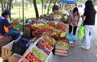 feria-franca