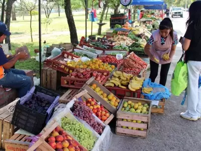 feria-franca