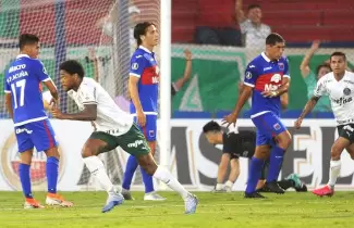 Tigre-Palmeiras