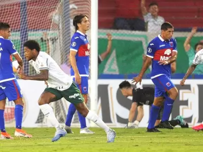 Tigre-Palmeiras